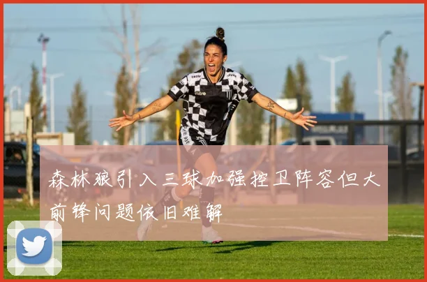 森林狼引入三球加强控卫阵容但大前锋问题依旧难解